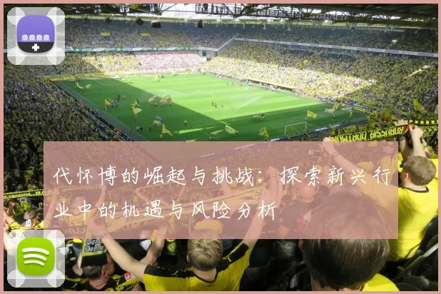 代怀博的崛起与挑战：探索新兴行业中的机遇与风险分析
