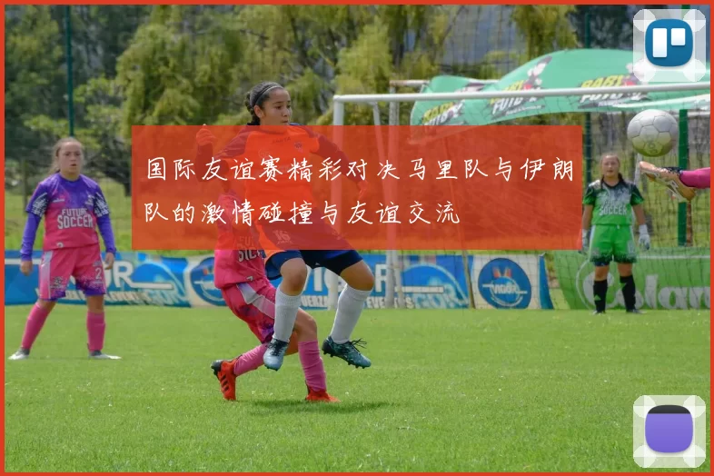 国际友谊赛精彩对决马里队与伊朗队的激情碰撞与友谊交流