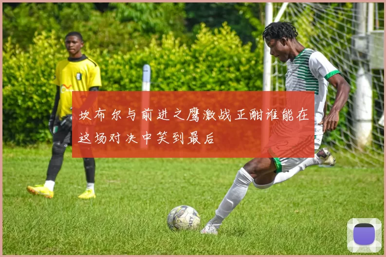 坎布尔与前进之鹰激战正酣谁能在这场对决中笑到最后
